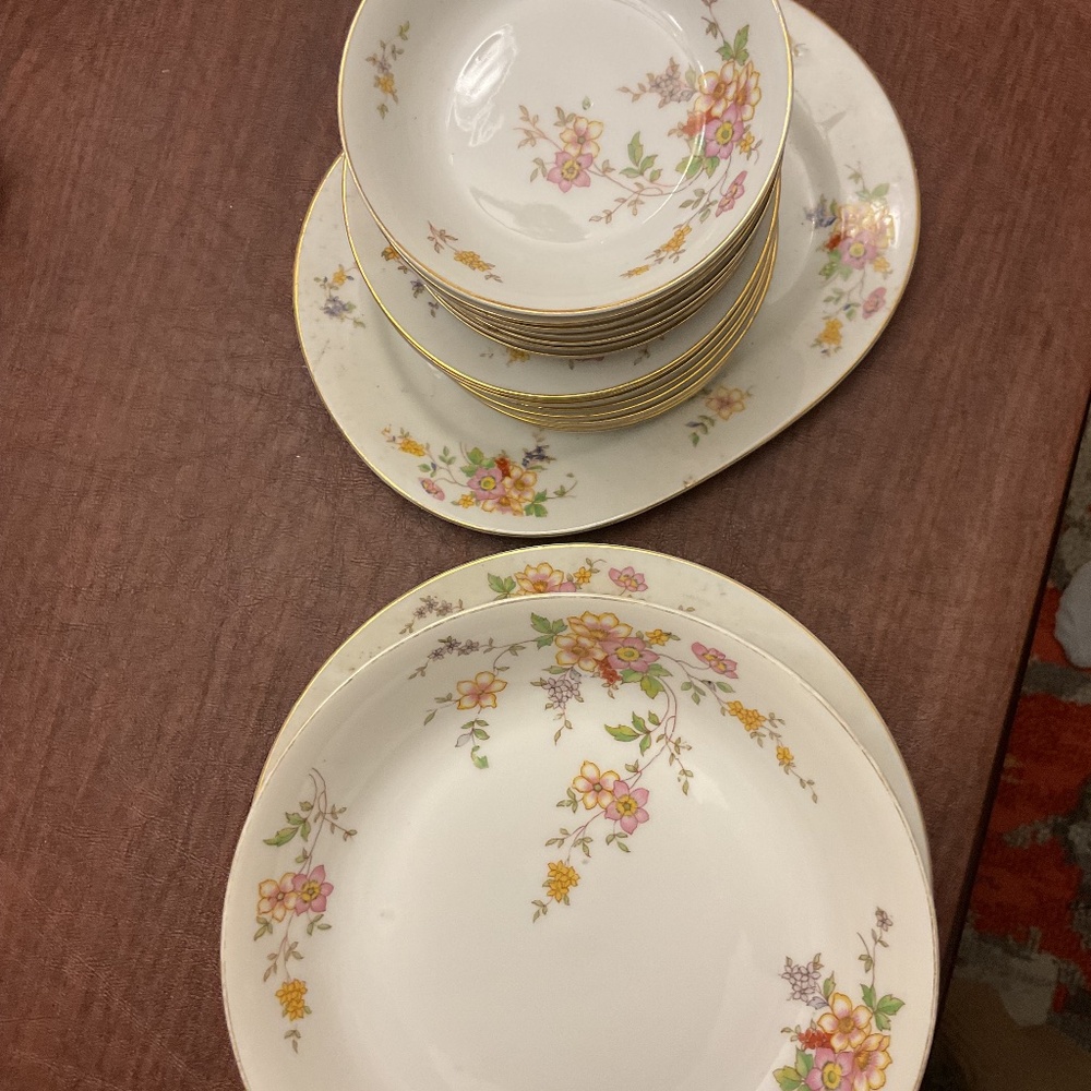 Johann Haviland Bavaria Dishes